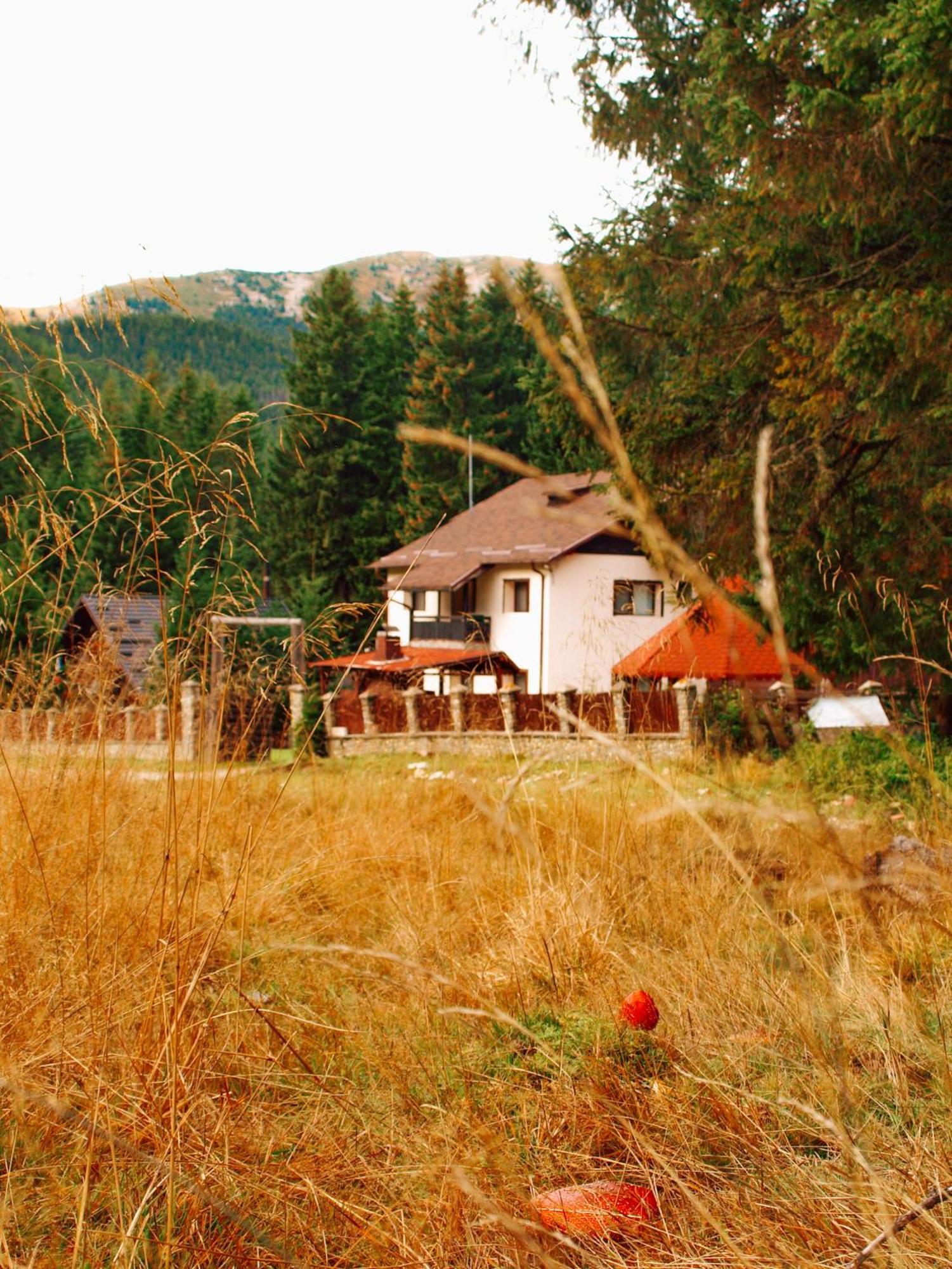 Вілла Mounthoff Retreat Мороєні Екстер'єр фото
